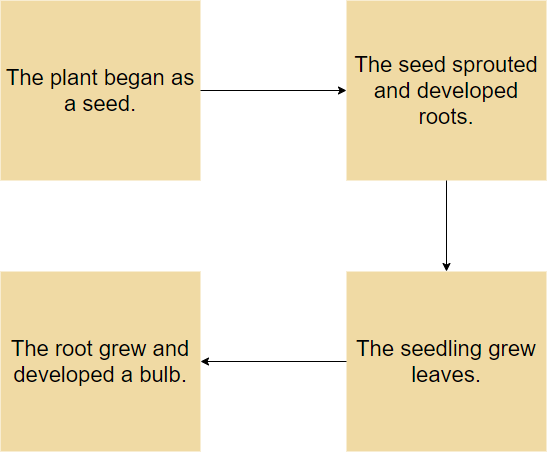 Plant growth flow map example