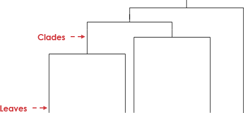 Dendrogram explained