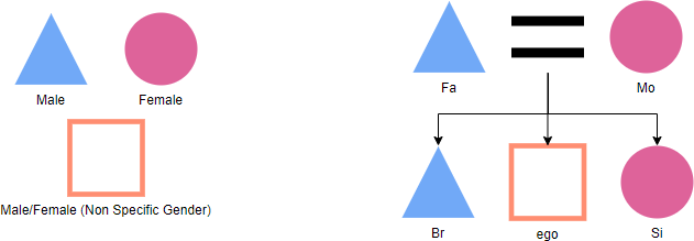 Kinship diagram notation explained