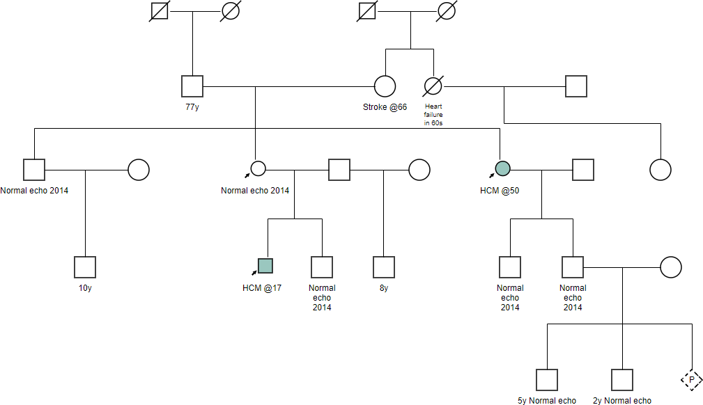 Pedigree chart medical example