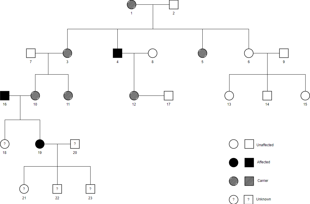 What Is Pedigree Chart