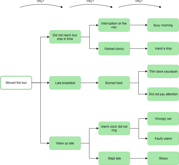 Why-Why diagram missed bus example