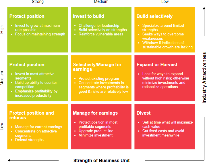 GE-McKinsey Matrix with instructions