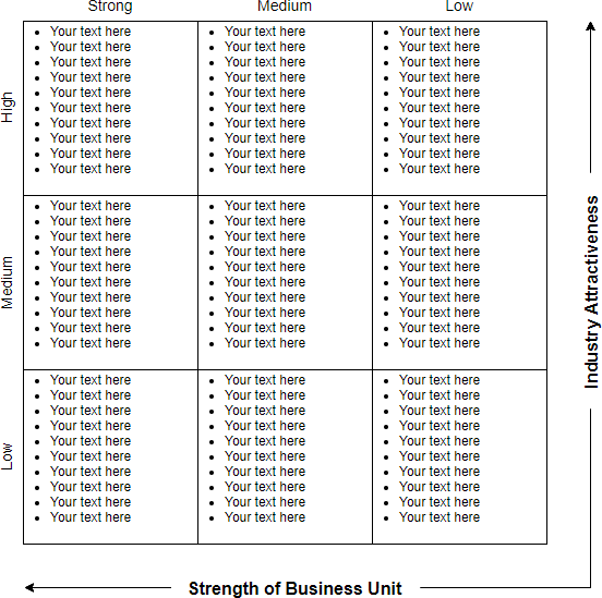 GE McKinsey Matrix with text