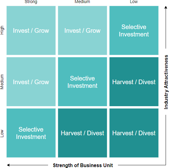 GE McKinsey model template